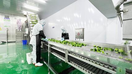 科技賦能，山丹果蔬煥新彩 精深加工引領傳統產業出圈